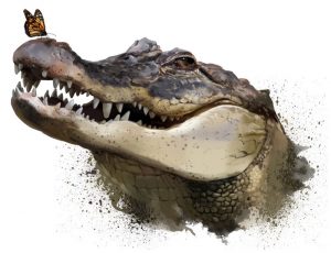 an agressive-looking crocodile